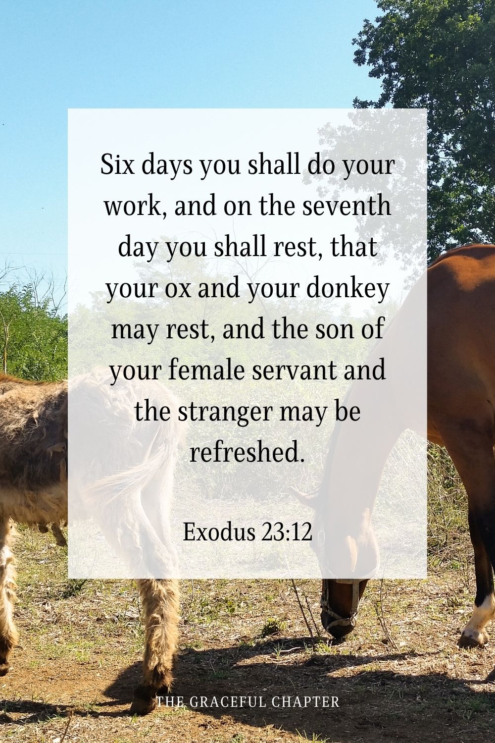 Six days you shall do your work, and on the seventh day you shall rest, that your ox and your donkey may rest, and the son of your female servant and the stranger may be refreshed.