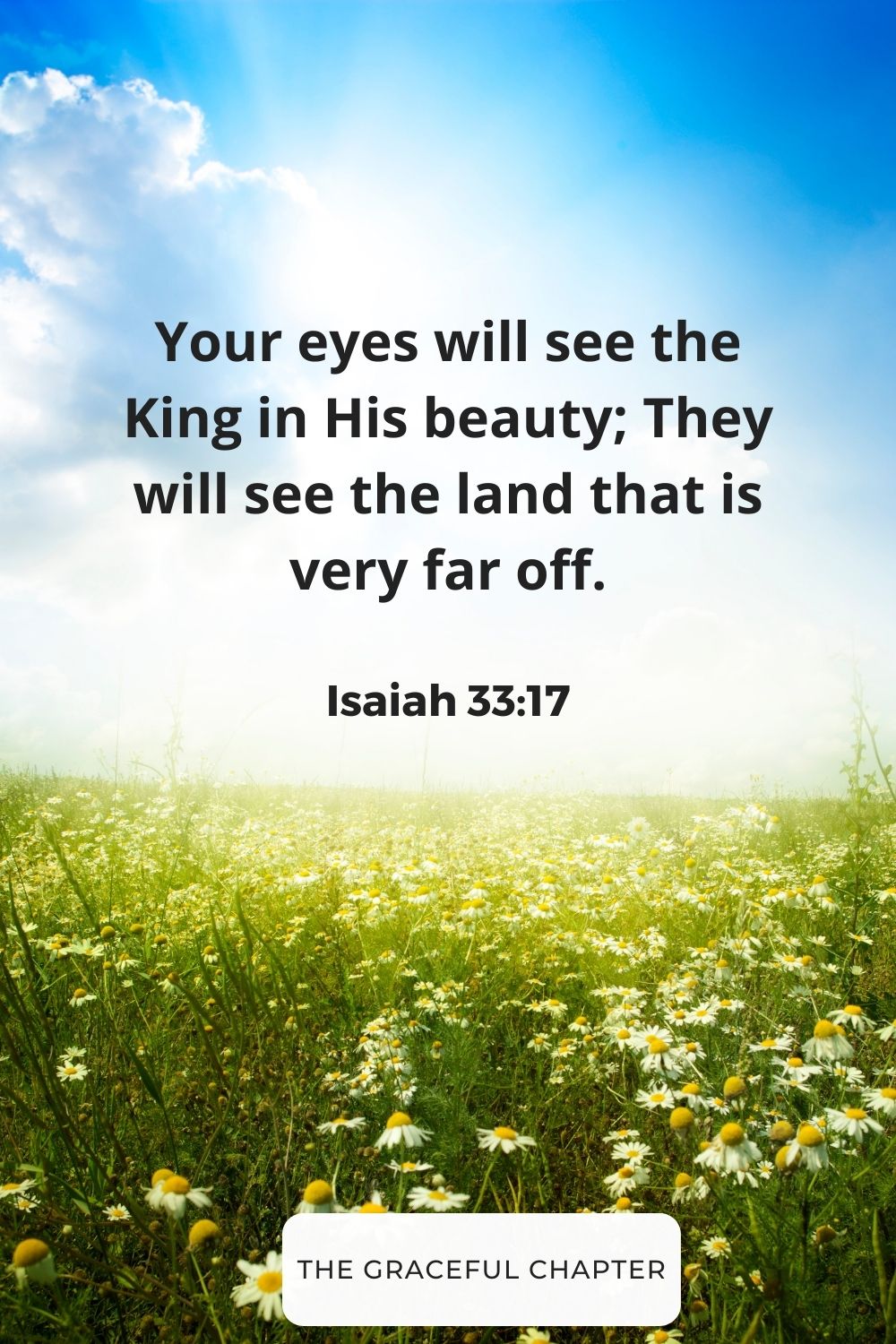 Your eyes will see the King in His beauty; They will see the land that is very far off.