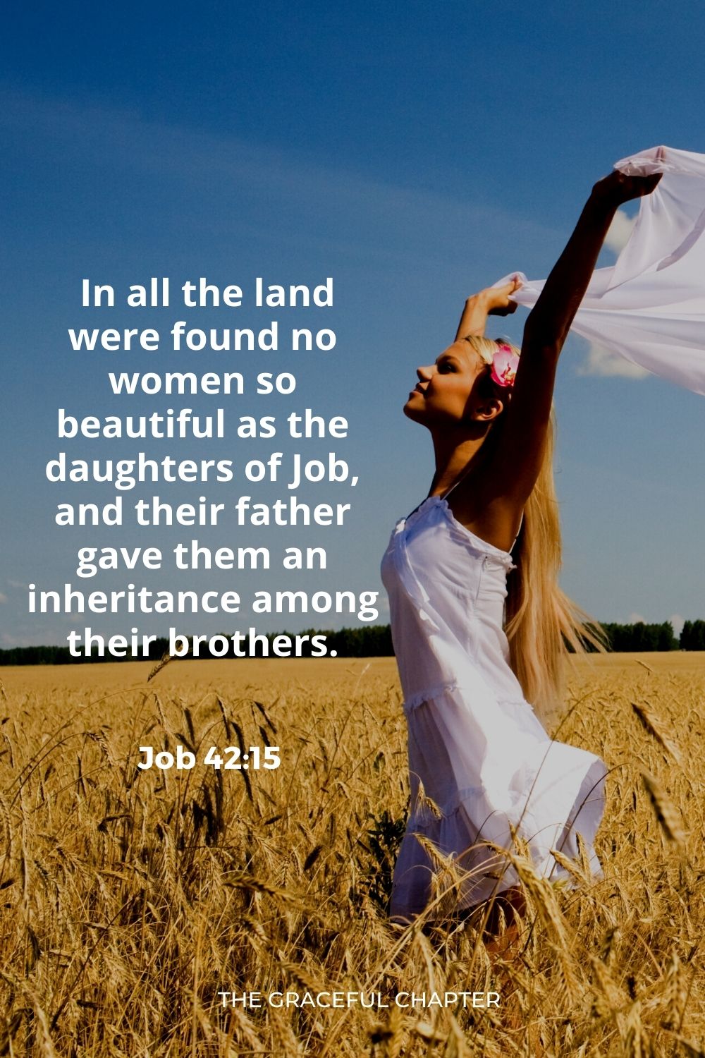  In all the land were found no women so beautiful as the daughters of Job, and their father gave them an inheritance among their brothers.