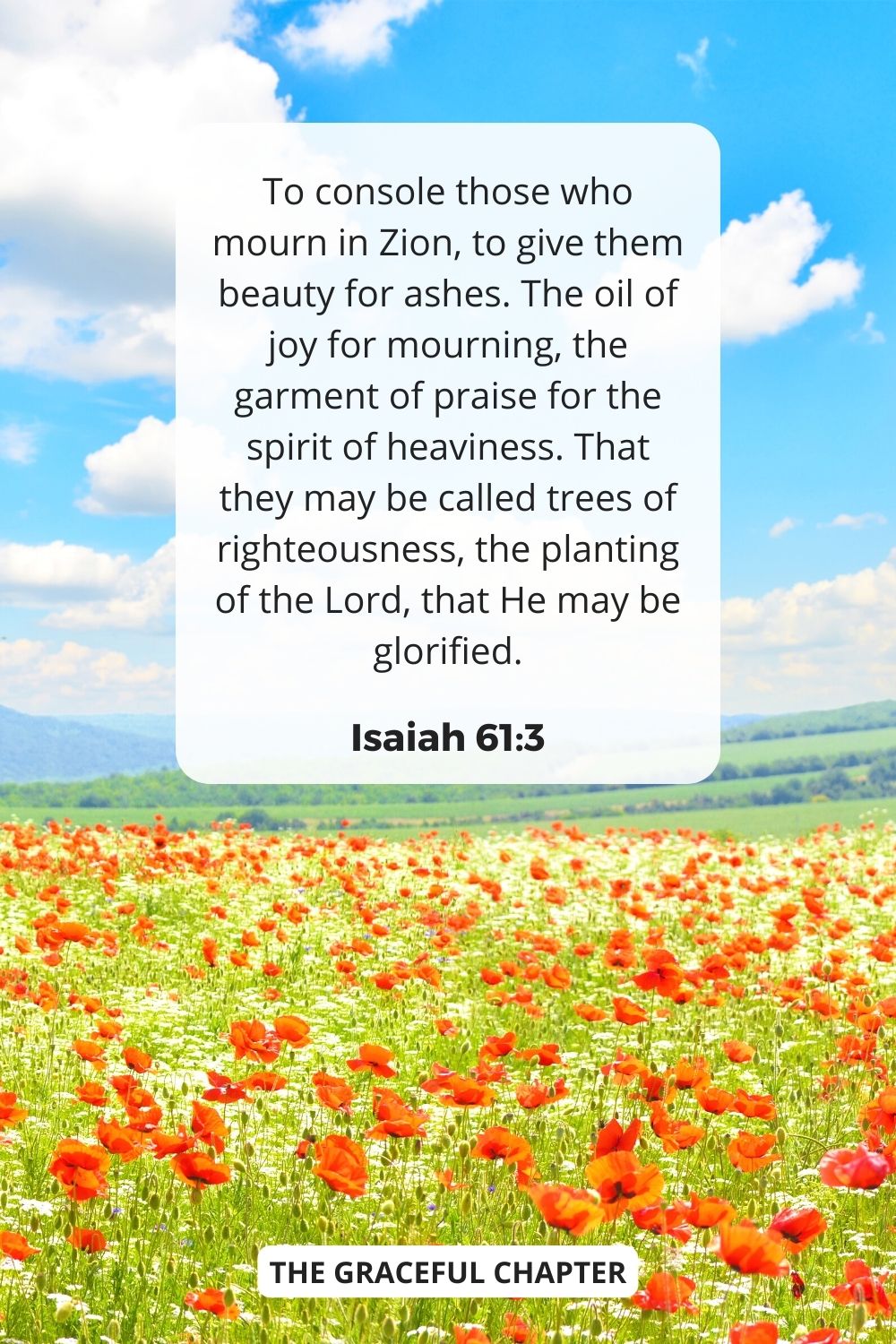 To console those who mourn in Zion, to give them beauty for ashes. The oil of joy for mourning, the garment of praise for the spirit of heaviness. That they may be called trees of righteousness, the planting of the Lord, that He may be glorified.