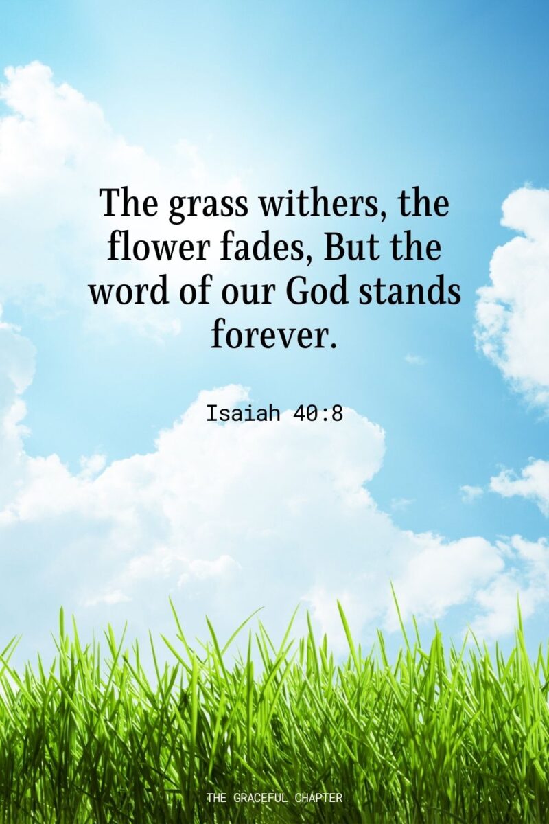 33 Bible Verses About Flowers The Graceful Chapter