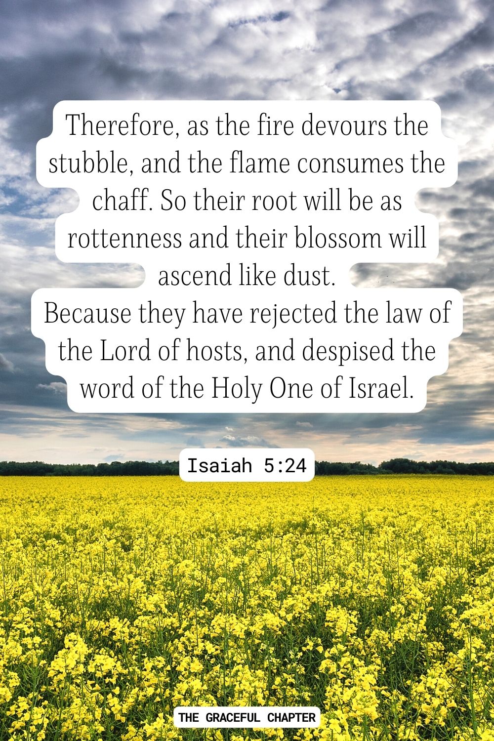 Therefore, as the fire devours the stubble, and the flame consumes the chaff. So their root will be as rottenness and their blossom will ascend like dust. Because they have rejected the law of the Lord of hosts, and despised the word of the Holy One of Israel. Isaiah 5:24