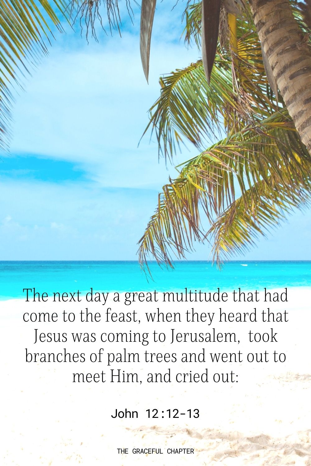 The next day a great multitude that had come to the feast, when they heard that Jesus was coming to Jerusalem,  took branches of palm trees and went out to meet Him, and cried out: John 12:12-13