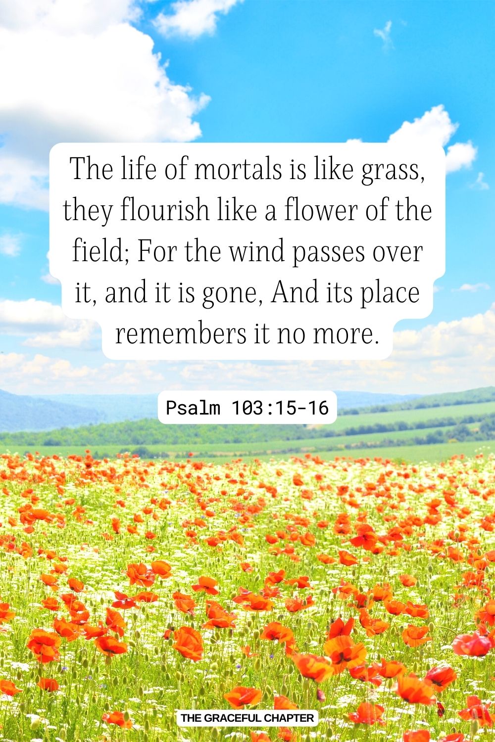The life of mortals is like grass, they flourish like a flower of the field; For the wind passes over it, and it is gone, And its place remembers it no more. Psalm 103:15-16