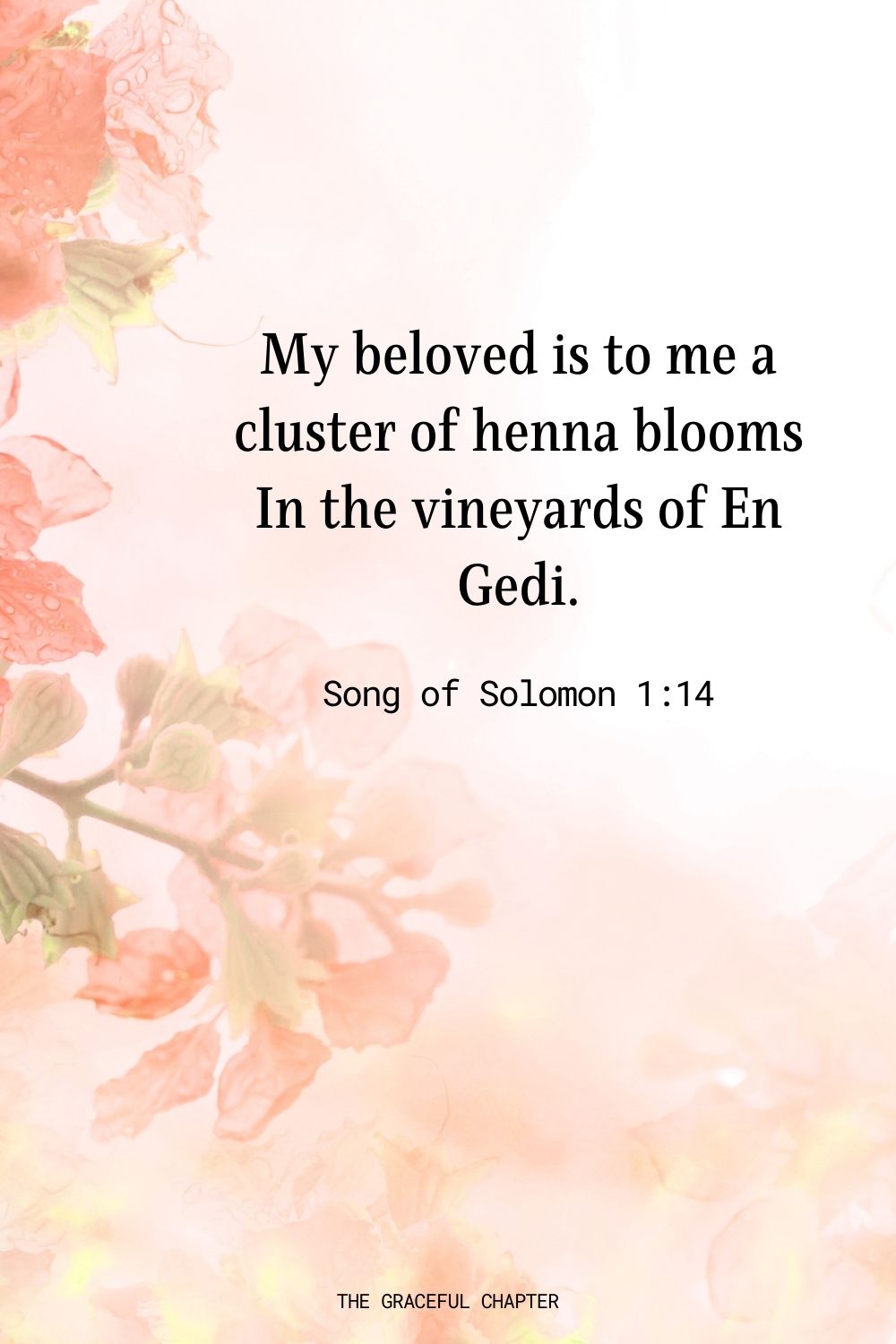 My beloved is to me a cluster of henna blooms In the vineyards of En Gedi. Song of Solomon 1:14