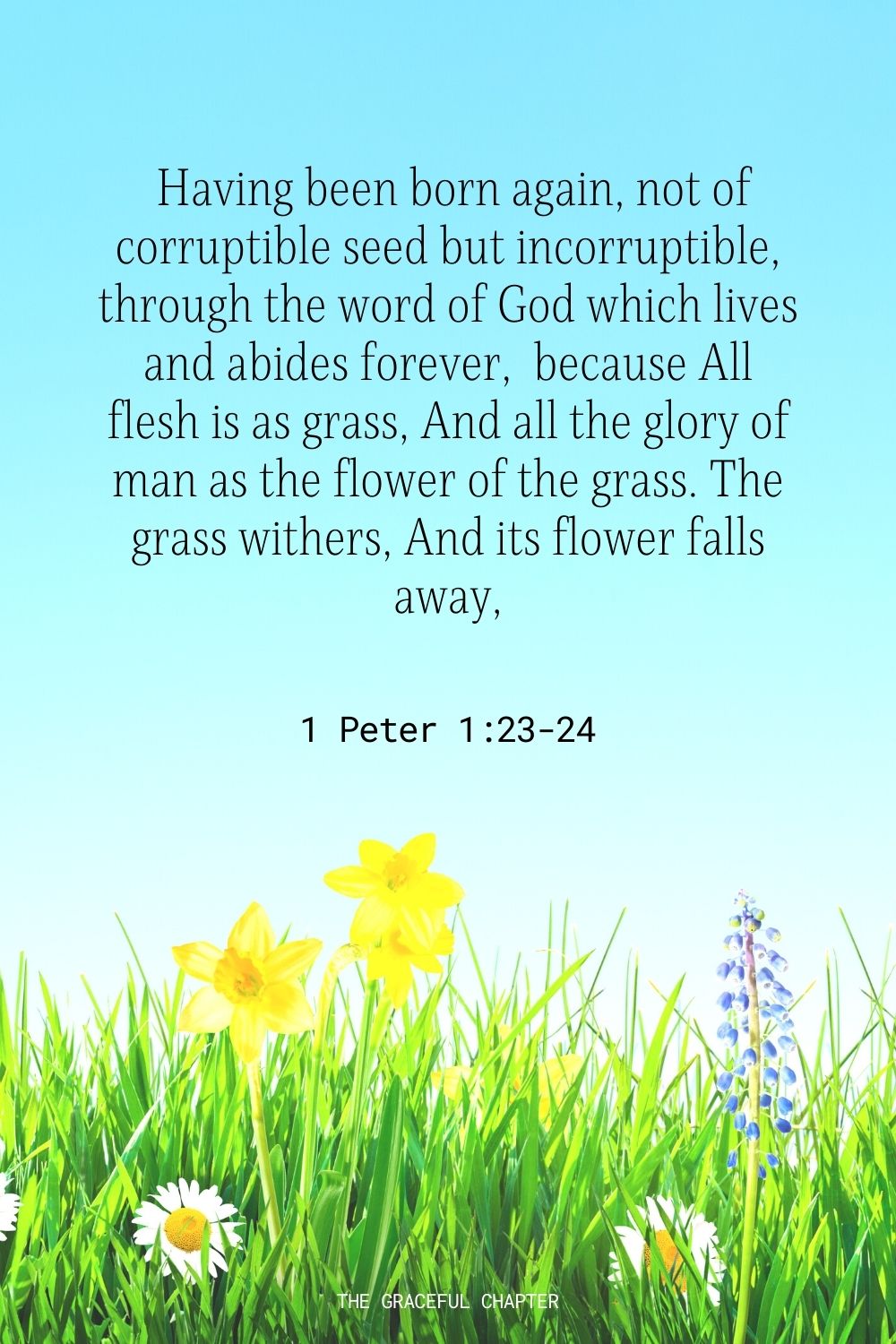  Having been born again, not of corruptible seed but incorruptible, through the word of God which lives and abides forever,  because All flesh is as grass, And all the glory of man as the flower of the grass. The grass withers, And its flower falls away, 1 Peter 1:23-24
