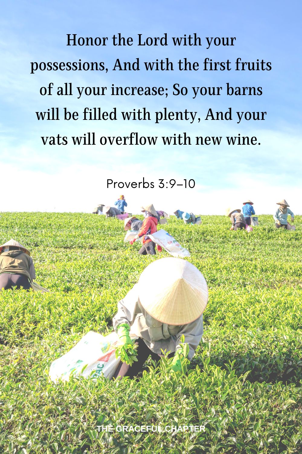 Honor the Lord with your possessions, And with the first fruits of all your increase; So your barns will be filled with plenty, And your vats will overflow with new wine. Proverbs 3:9–10