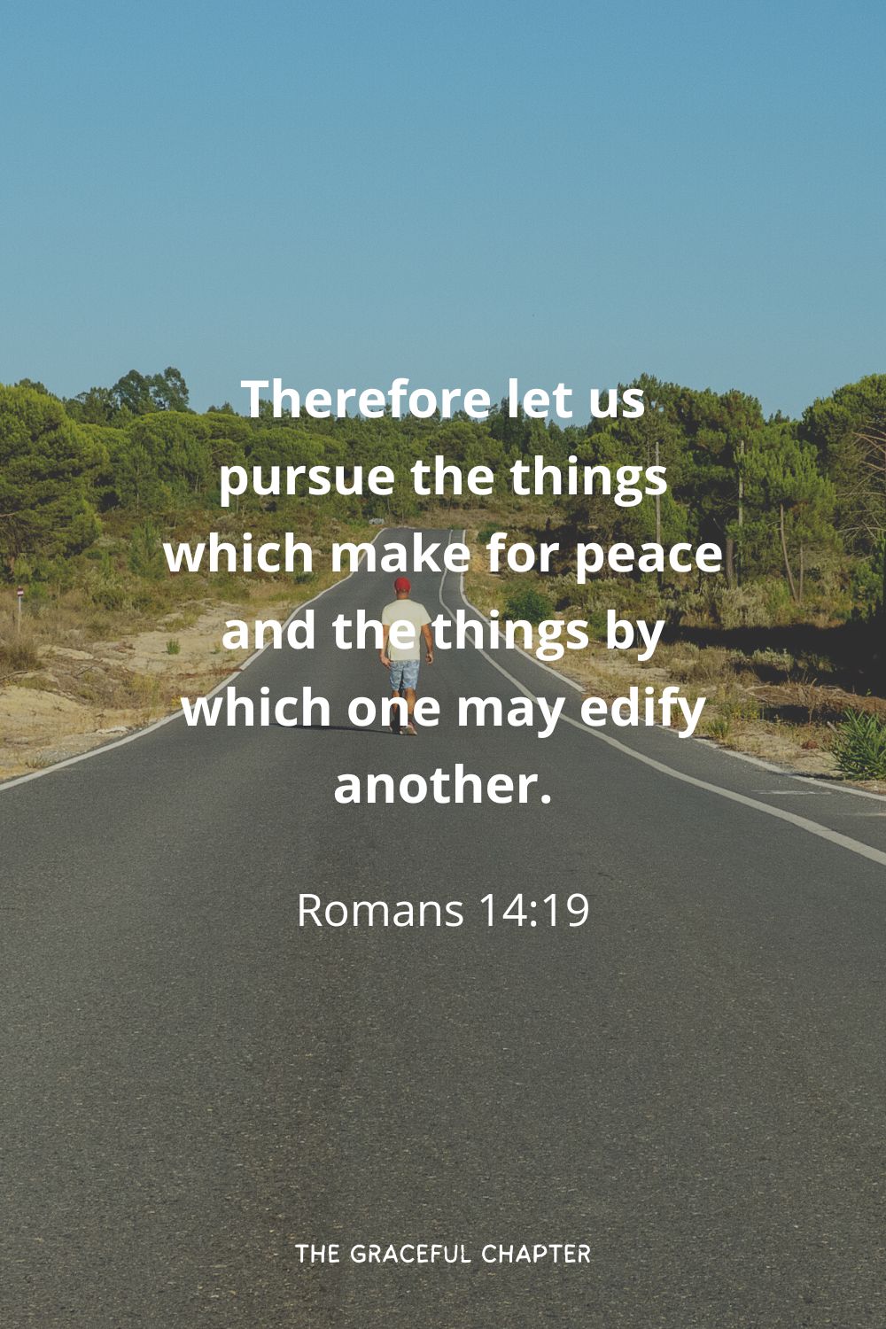 Therefore let us pursue the things which make for peace and the things by which one may edify another.