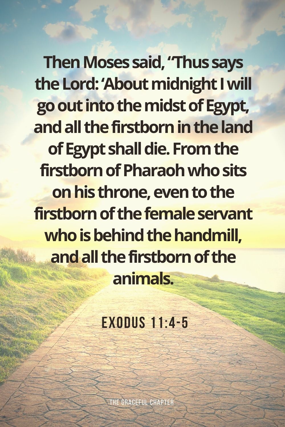 Then Moses said, “Thus says the Lord: ‘About midnight I will go out into the midst of Egypt, and all the firstborn in the land of Egypt shall die. From the firstborn of Pharaoh who sits on his throne, even to the firstborn of the female servant who is behind the handmill, and all the firstborn of the animals. Exodus 11:4-5