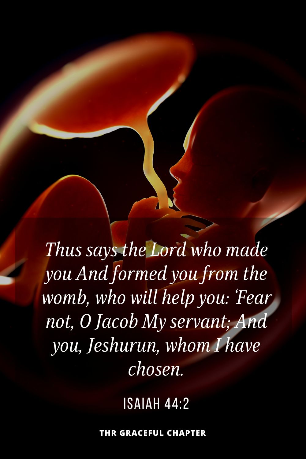 Thus says the Lord who made you And formed you from the womb, who will help you: ‘Fear not, O Jacob My servant; And you, Jeshurun, whom I have chosen.Isaiah 44:2