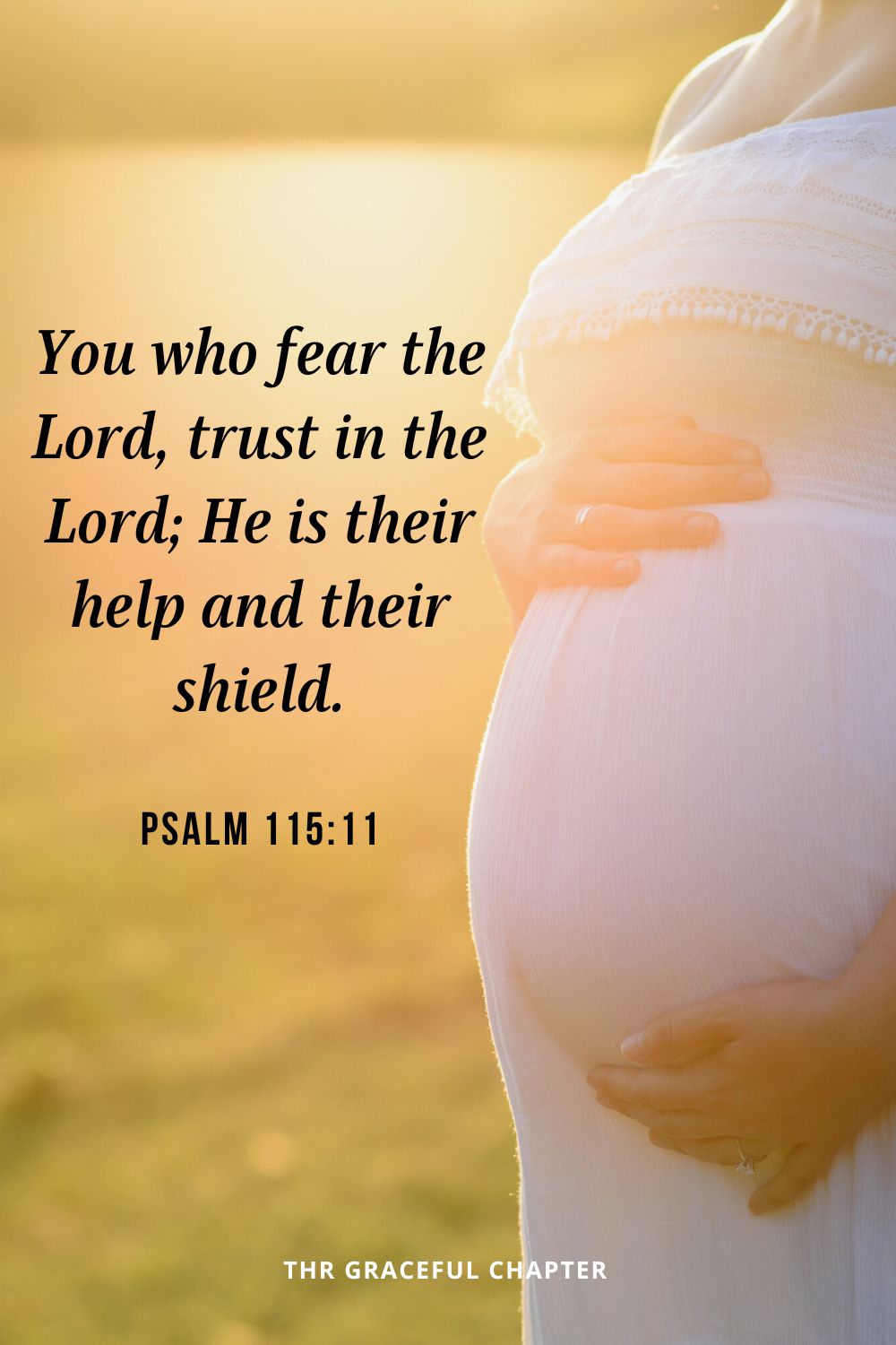 You who fear the Lord, trust in the Lord; He is their help and their shield.Psalm 115:11