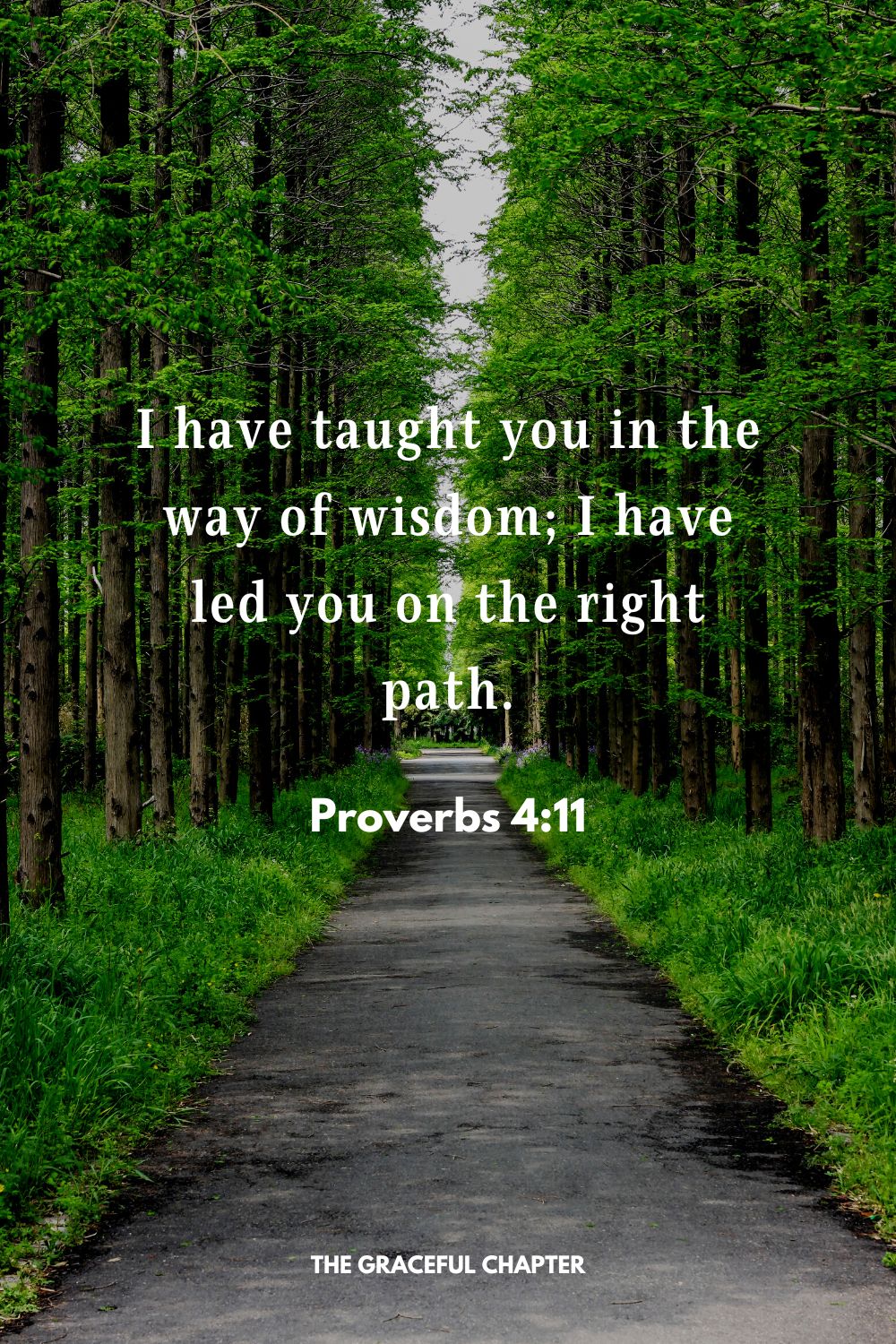 I have taught you in the way of wisdom; I have led you on the right path. Proverbs 4:11