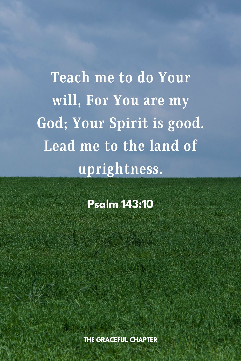 Teach me to do Your will, For You are my God; Your Spirit is good. Lead me to the land of uprightness. Psalm 143:10