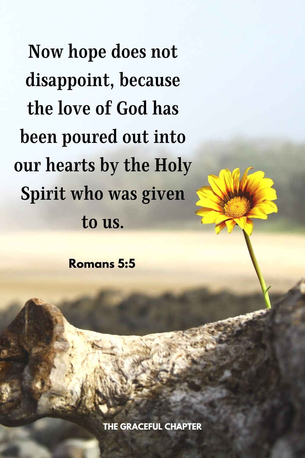 Now hope does not disappoint, because the love of God has been poured out into our hearts by the Holy Spirit who was given to us.Romans 5:5