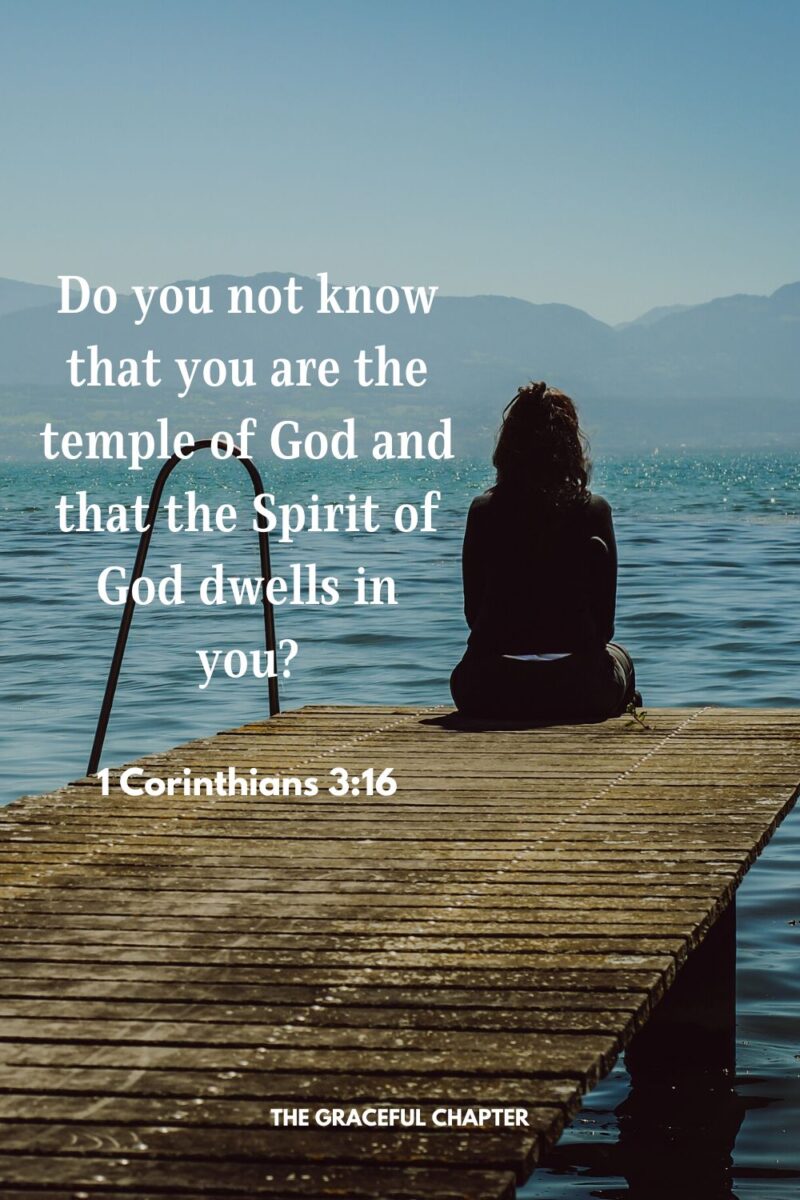 39 Bible Verses About The Holy Spirit - The Graceful Chapter