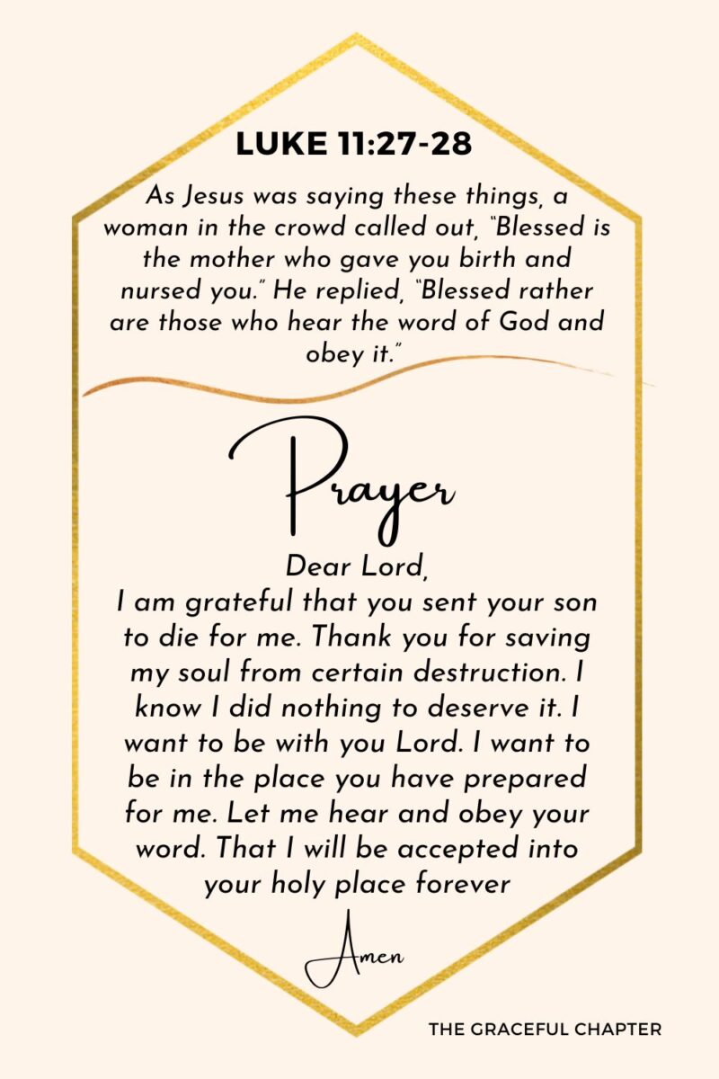 Reflection – Luke 11:27-28 – The Truly Blessed - The Graceful Chapter