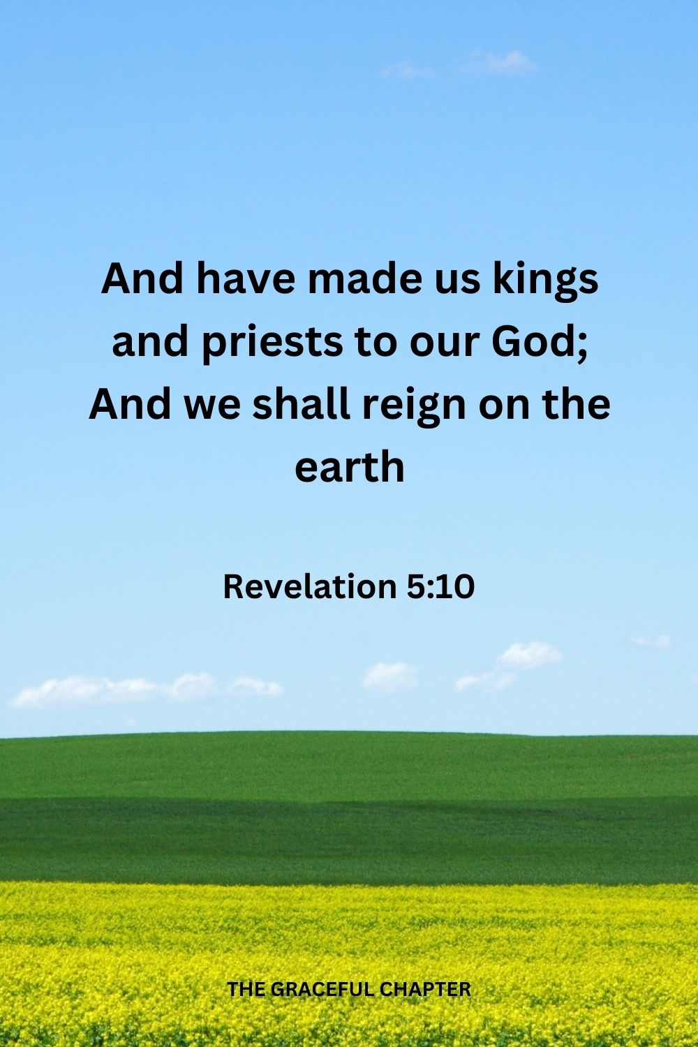 And have made us kings and priests to our God; And we shall reign on the earth. Revelation 5:10