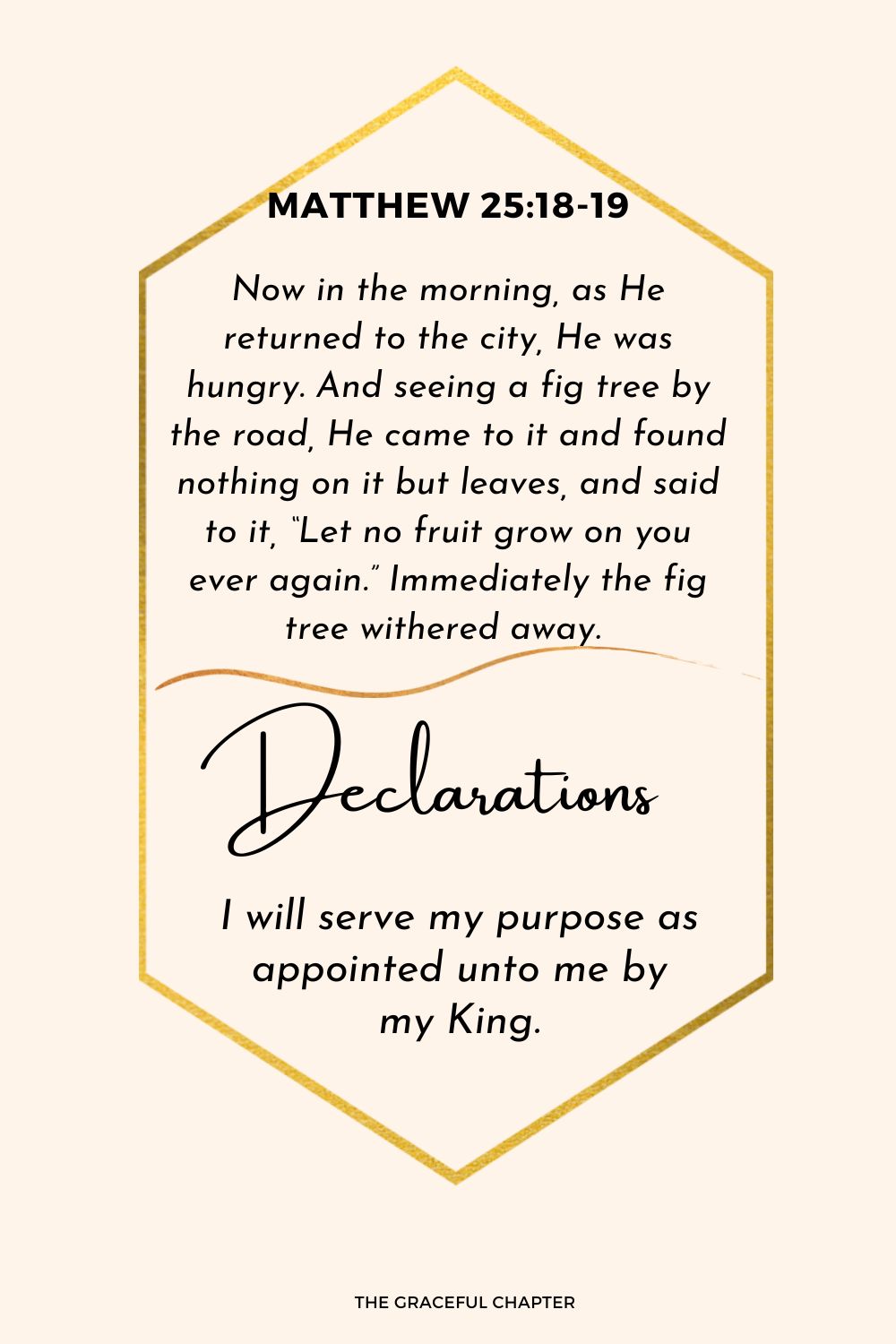 Declaration - Matthew 25:18-19