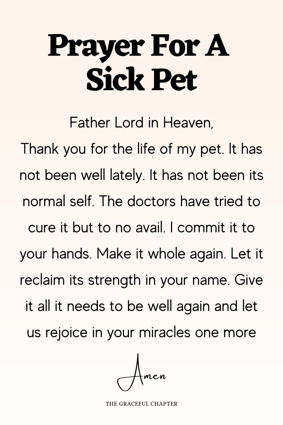 8 Beautiful Prayers For Pets - The Graceful Chapter