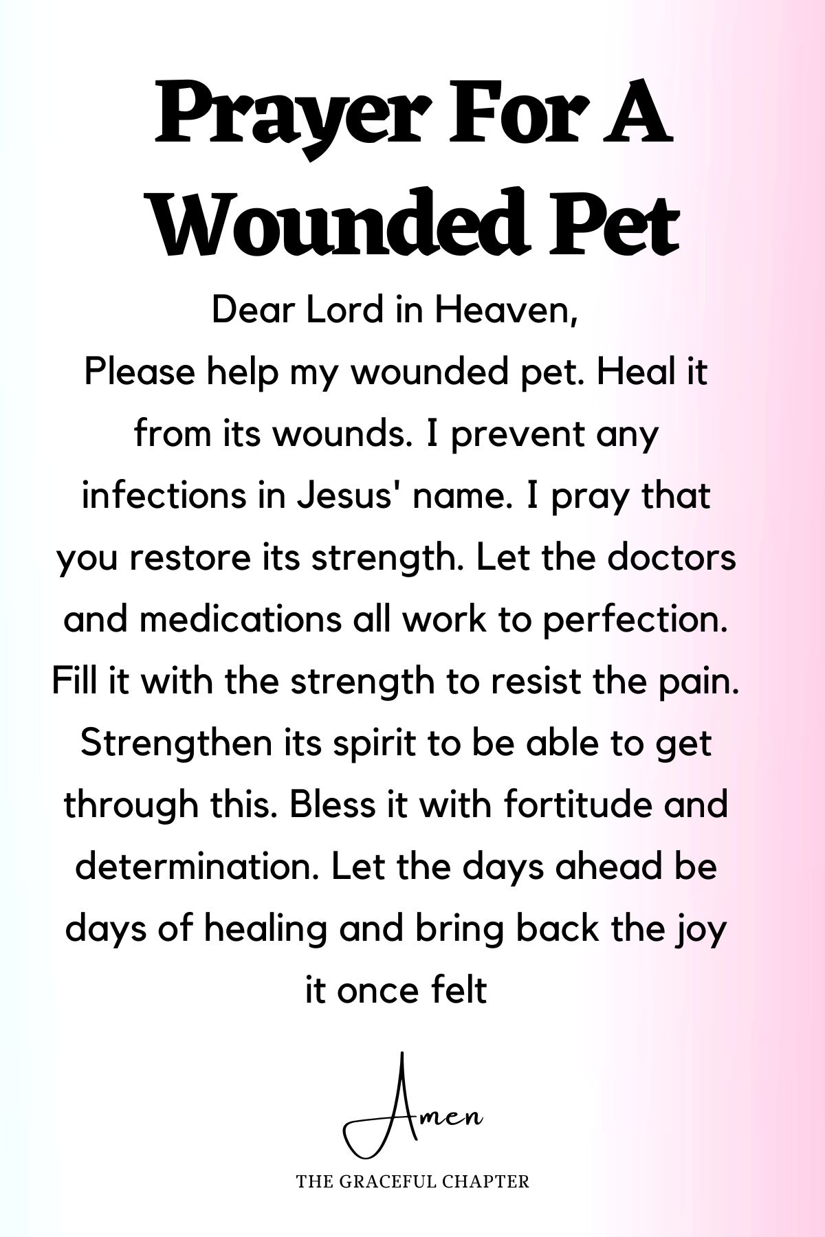 Prayer for a wounded pet