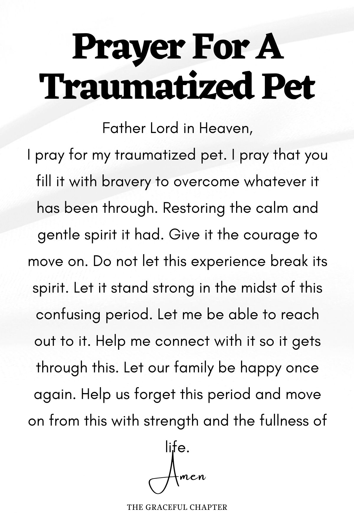 Prayer for a traumatized pet - prayers for pets