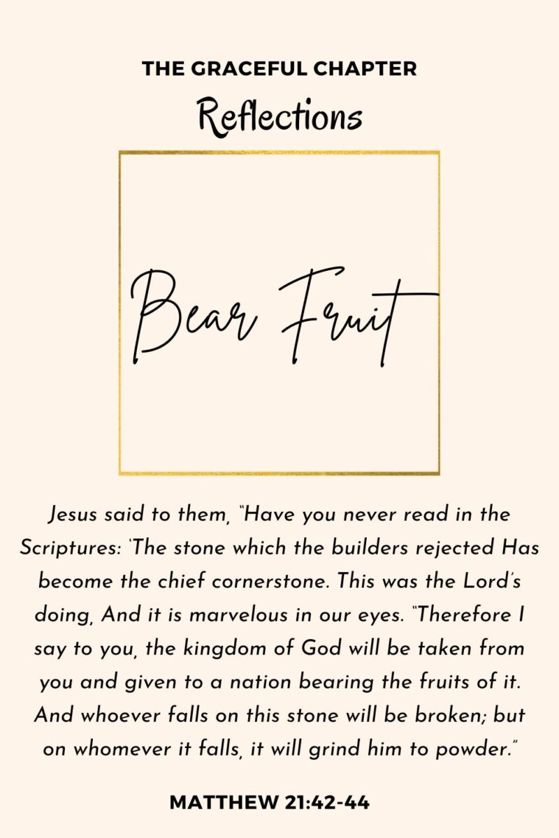 reflection-matthew-21-42-44-bear-fruit-the-graceful-chapter