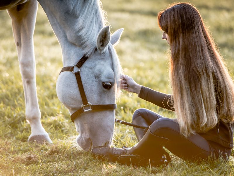 6 Horse-Keeping Advice For New Owners
