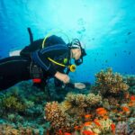 You Should Try Scuba Diving On Your Next Holiday For These Reasons