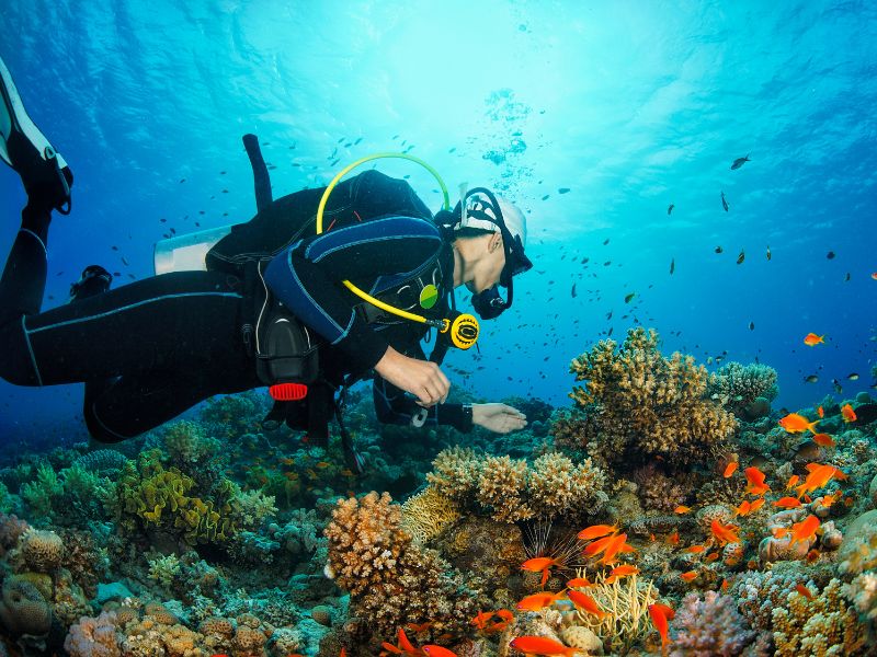 You Should Try Scuba Diving On Your Next Holiday For These Reasons