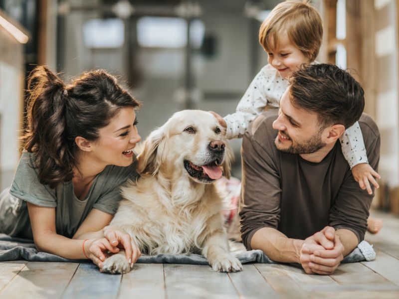 10 Wonderful Reasons To Welcome A Dog Into Your Family