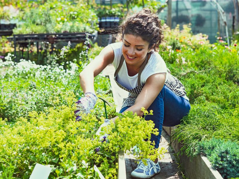 Gardening For The Mind, Body, And Soul: An Essential Guide