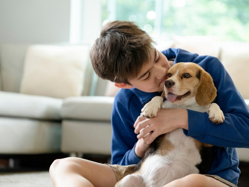 How To Create A Pet-Friendly Environment In Your Home: A Guide
