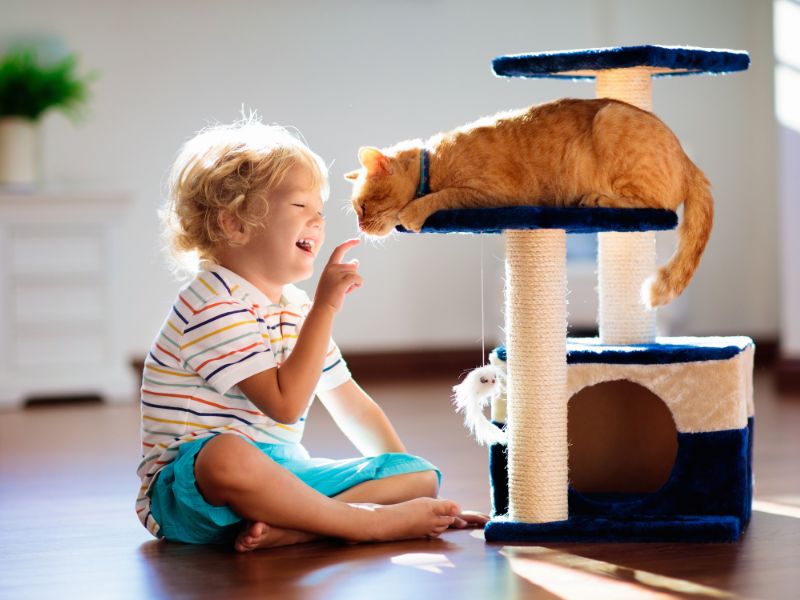 Feeding and Nutrition: Teaching Kids How to Provide Proper Nourishment for Pets