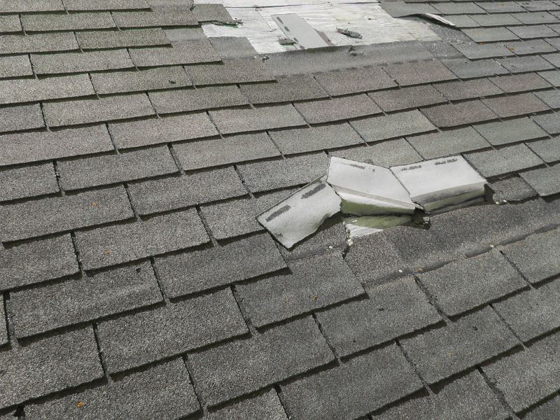 Warning Signs that Your Roof Needs Repairs ASAP