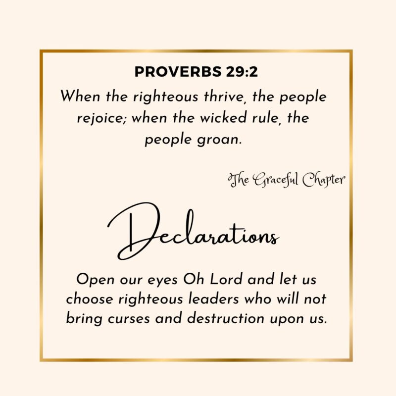 Reflection - Proverbs 29:2 - Good Leadership - The Graceful Chapter