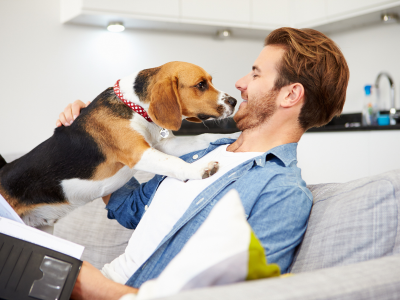 How Pet Insurance Can Safeguard Your Pet’s Health and Your Wallet
