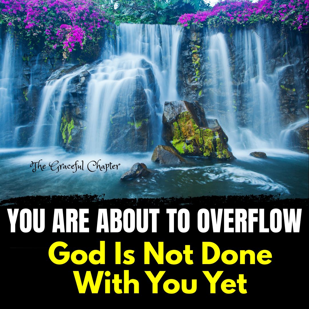 The Graceful Chapter - By grace through faith